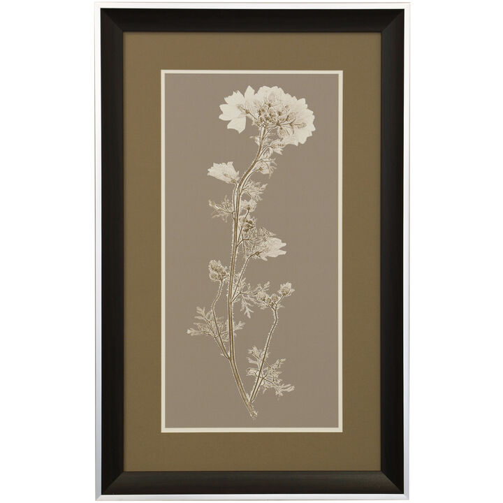 Taupe Natural Study I