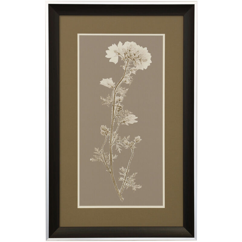 Taupe Natural Study I