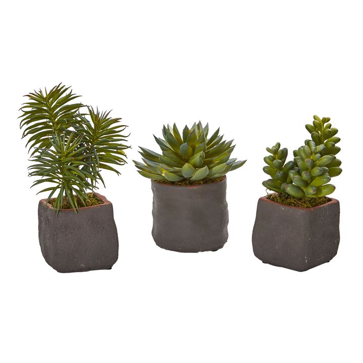Hivvago Mixed Succulent Trio Artificial Plant (Set of 3)