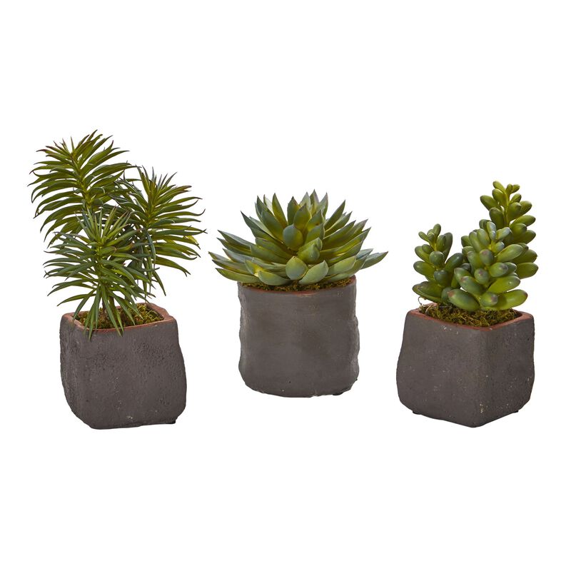 Hivvago Mixed Succulent Trio Artificial Plant (Set of 3)