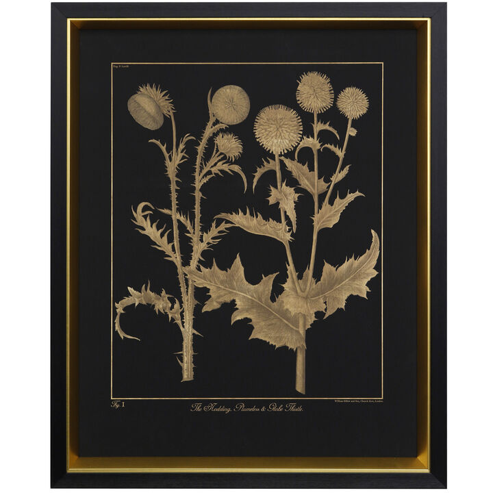 Thistle Framed Print