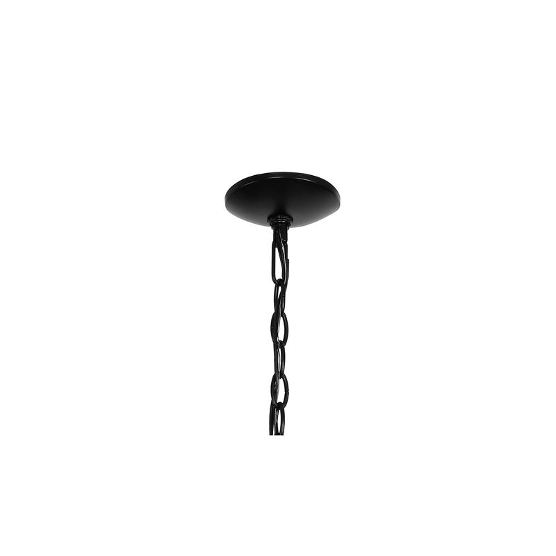 Pablo 8-Light Iron/Seeded Glass Bohemian Cottae LED Chandelier
