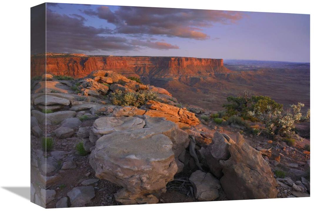 View from the Green River Overlook, Canyonlands National Park, Utah-Canvas Art-16x12
