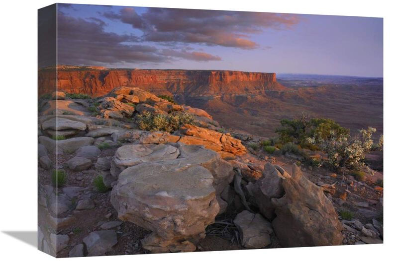 View from the Green River Overlook, Canyonlands National Park, Utah-Canvas Art-16x12