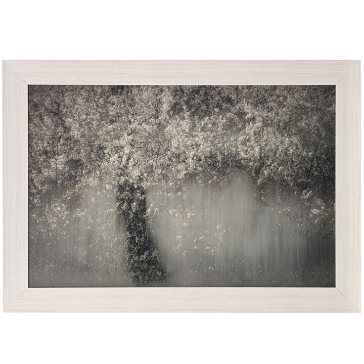 Fruit Tree