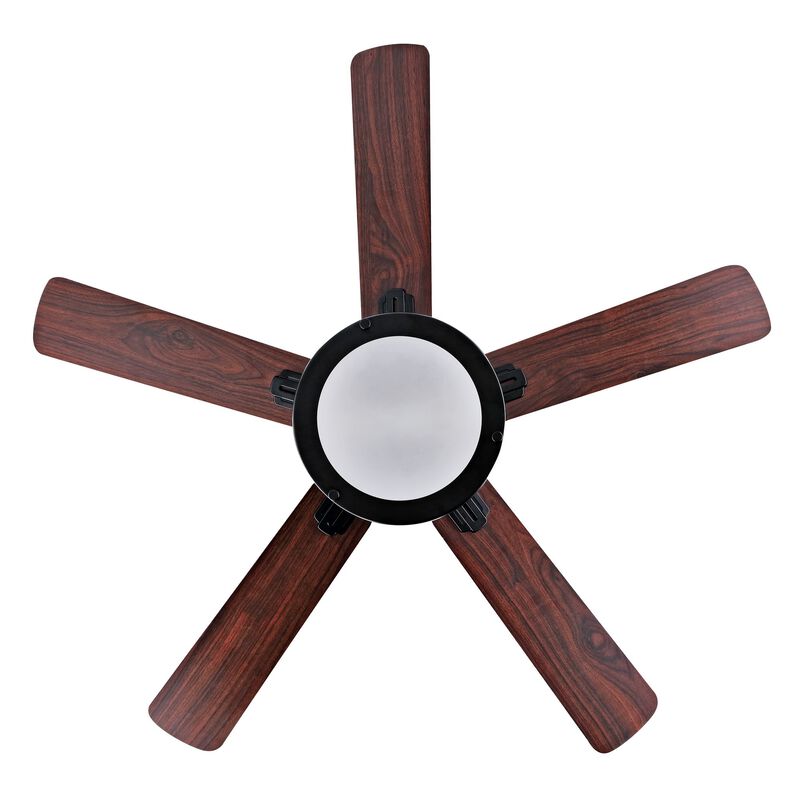 Brantley 2-Light Bohemian Farmhouse Iron LED CEILING FAN