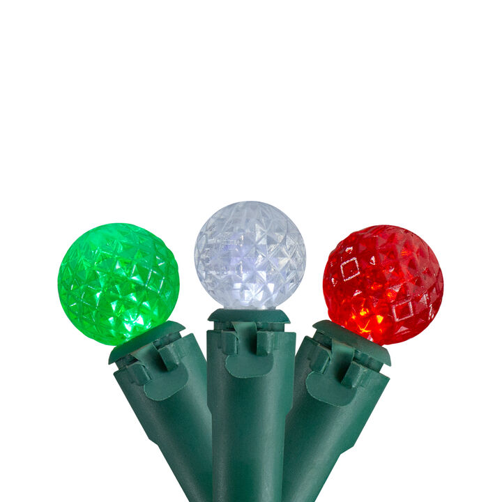 50 Count Red  Green and White LED G12 Berry Christmas Lights  15.9 ft Green Wire