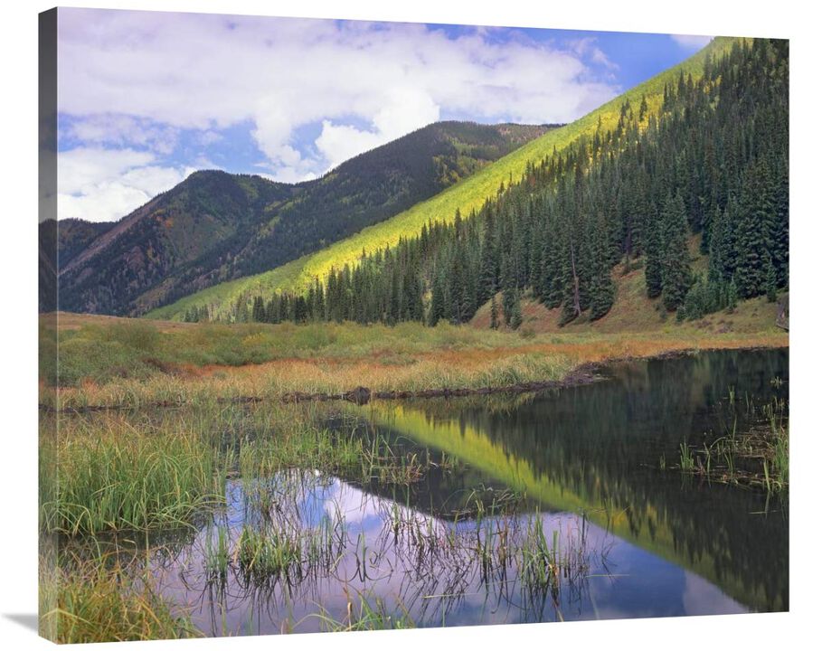 Pond and mountains, Maroon Bells-Snowmass Wilderness Area, Colorado-Canvas Art-36x29.88