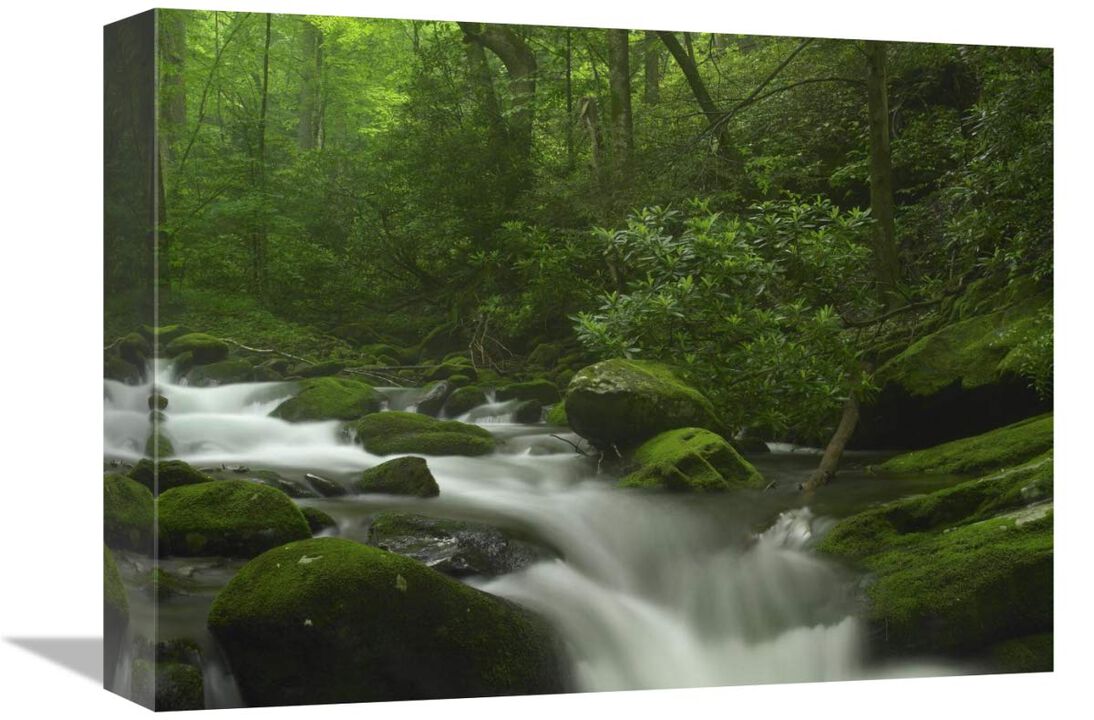 Roaring Fork River flowing through the Great Smoky Mountains National Park, Tennessee-Canvas Art-16x12
