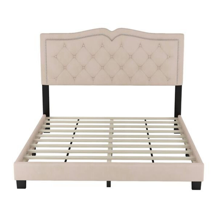 Modern Velvet Bed Frame with Rivet Detailing and Tufted Headboard Design