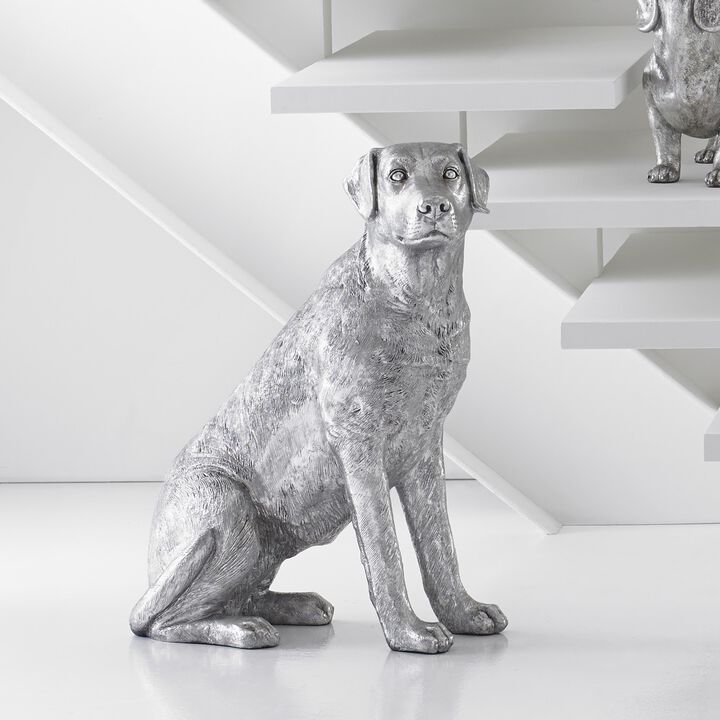 Labrador Sitting Dog
