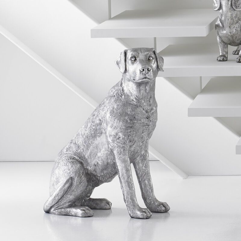 Labrador Sitting Dog