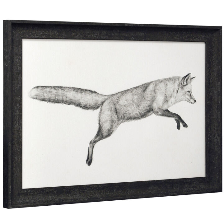 Flying Fox I Framed Print