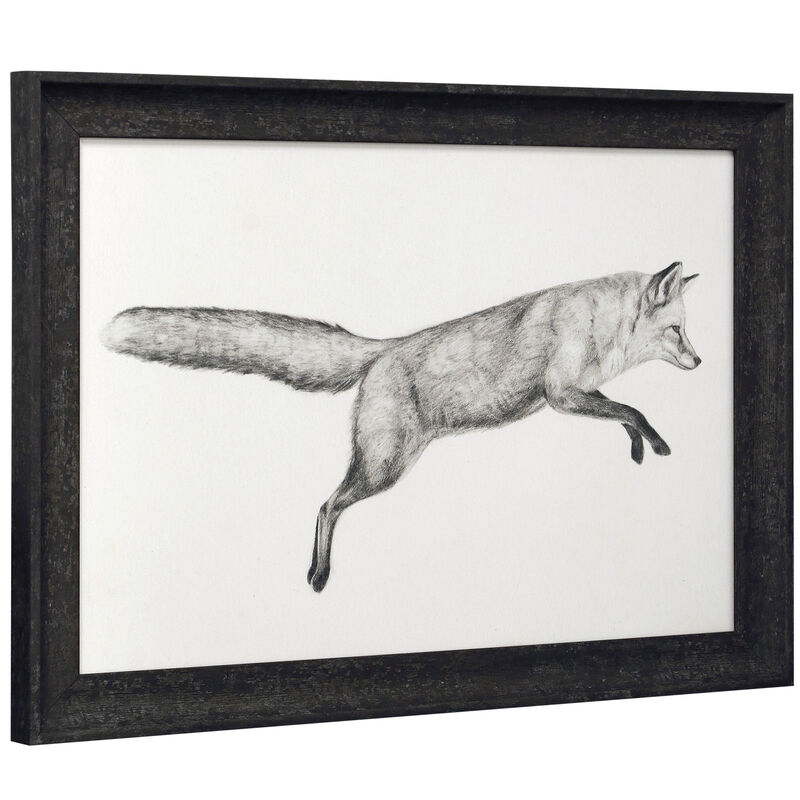 Flying Fox I Framed Print