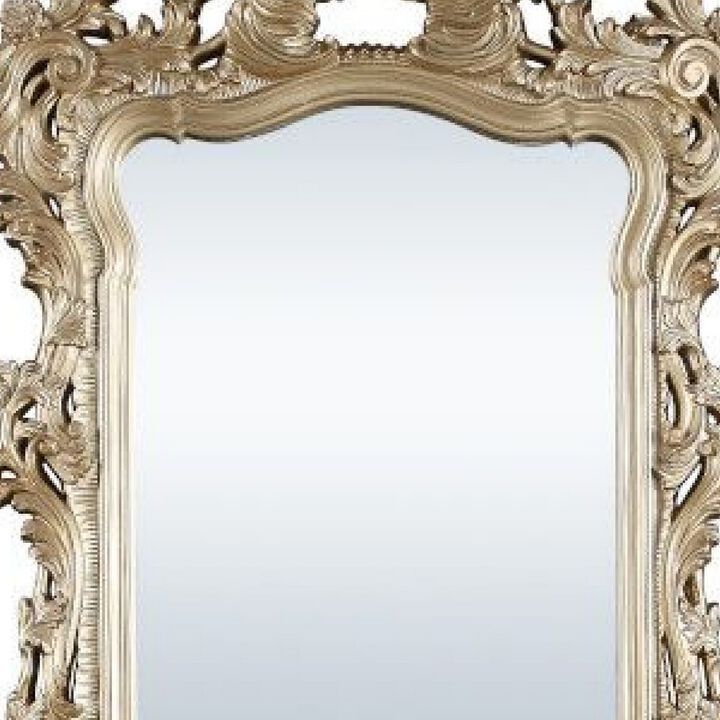 56 Inch Wall Mirror, Ornate Carving, Champagne Gold-Benzara