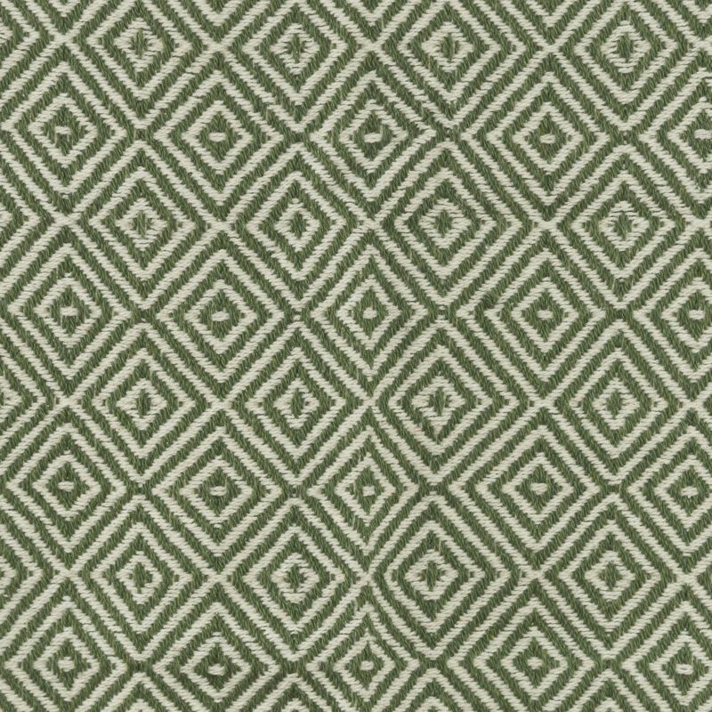 Green/Natural 50" x 60" Throw Blanket