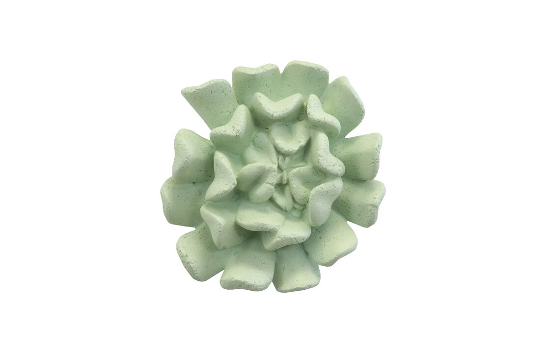 Topsy Turvy Succulent Wall Art in Jade