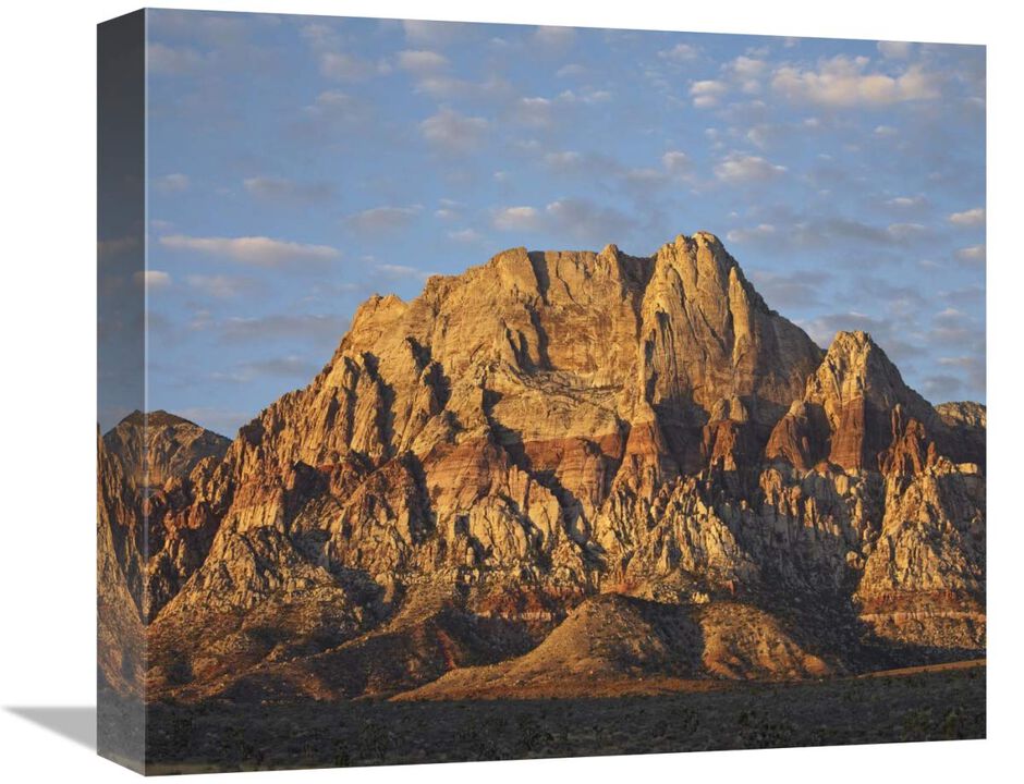 Spring Mountains, Red Rock Canyon National Conservation Area near Las Vegas, Nevada-Canvas Art-16x14.08