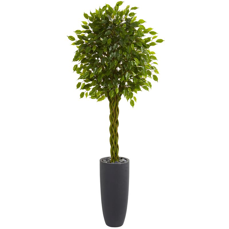 Hivvago 6.5 Feet Braided Ficus Artificial Tree in Cylinder Planter UV Resistant (Indoor/Outdoor)