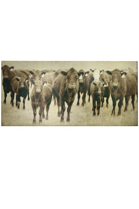 Bovine Canvas Art