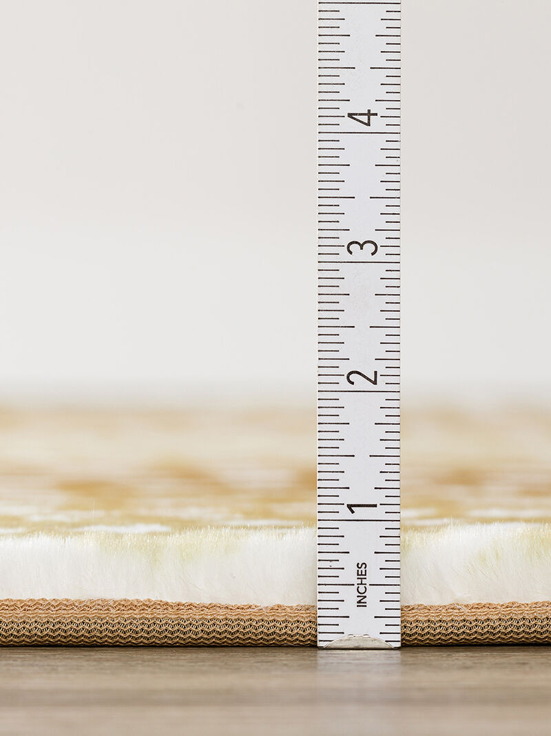 Akina AK3 Gold 8' x 10' Rug