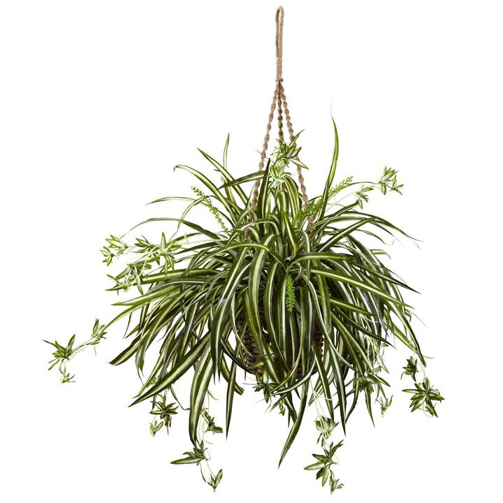 Hivvago Spider Plant Hanging Basket