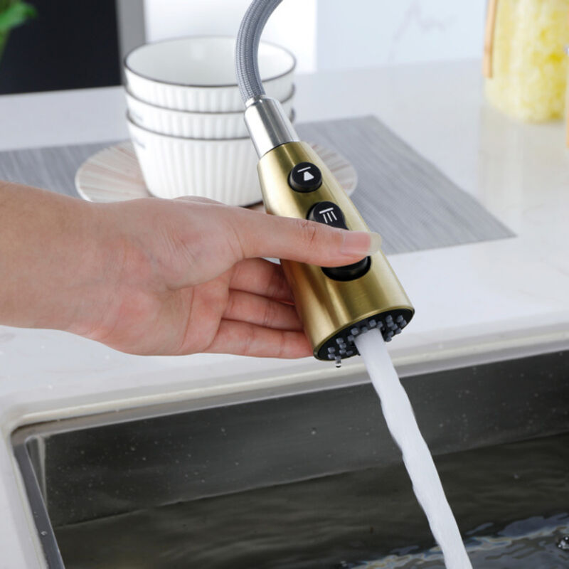 Kitchen Sink Faucet with Pull-Out Sprayer, Single Handle, Fingerprint-Resistant Finish