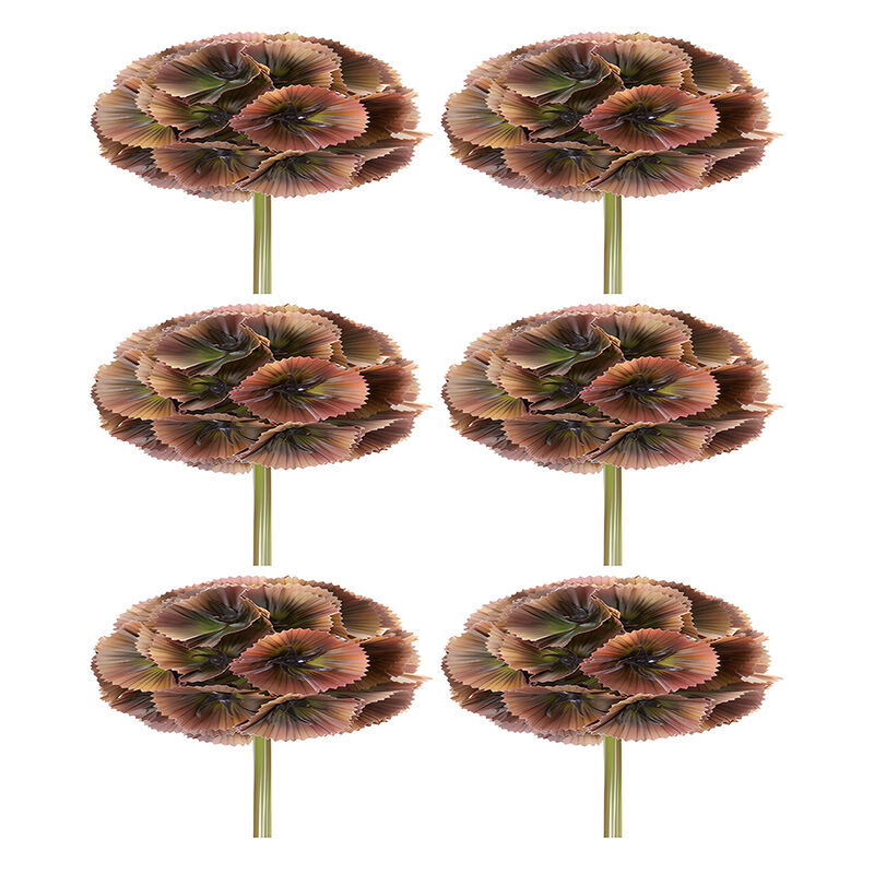 Set of 6 Floral Pods for Crafting and Home Décor Arrangements