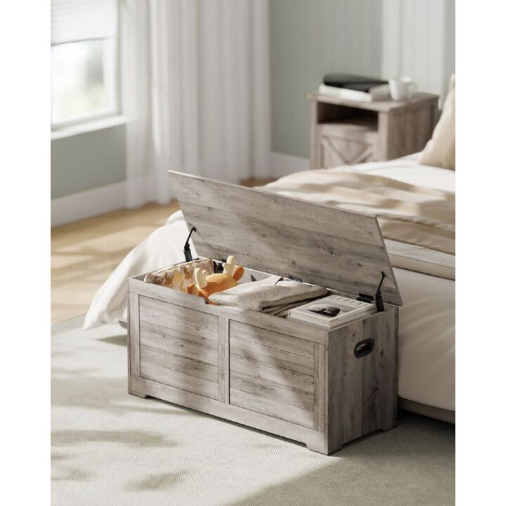 Storage Chest with 2 Safety Hinges