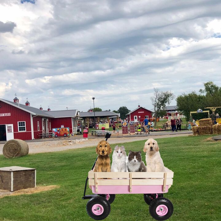 Outdoor Wagon All Terrain Pulling Wood Railing Air Tires Garden Cart
