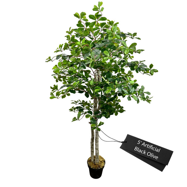 Handmade 5' Artificial Black Olive Tree In Home Basics Plastic Pot Made with Real Wood and Moss Accents