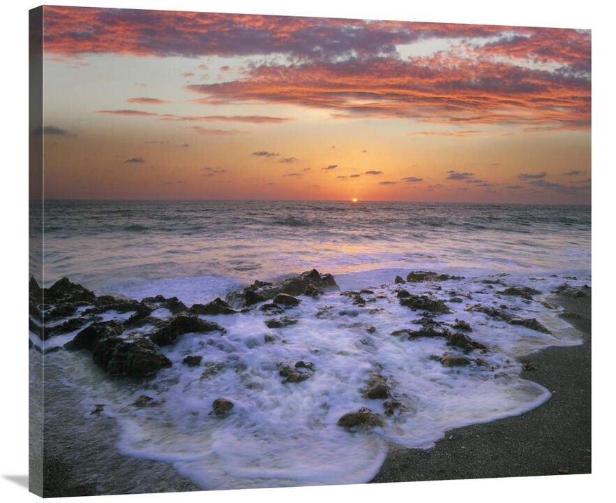 Coast at sunset, Blowing Rocks Beach, Jupiter Island, Florida-Canvas Art-36x30.96