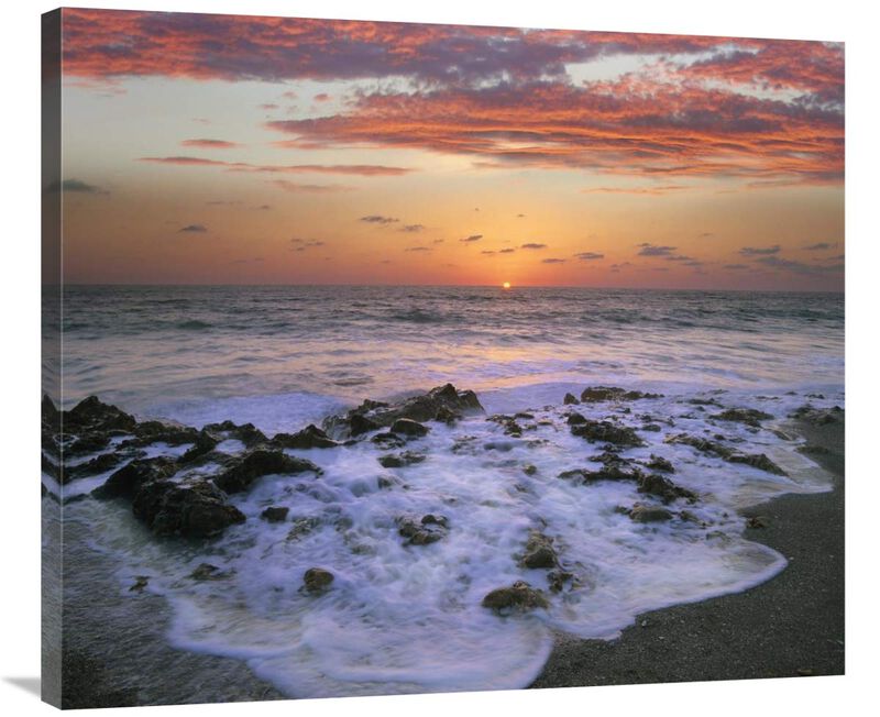 Coast at sunset, Blowing Rocks Beach, Jupiter Island, Florida-Canvas Art-36x30.96