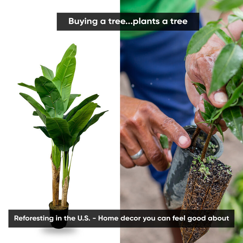 5' Realistic Artificial Banana Plant Deluxe In Home Basics Starter Pot, Home Décor, Office