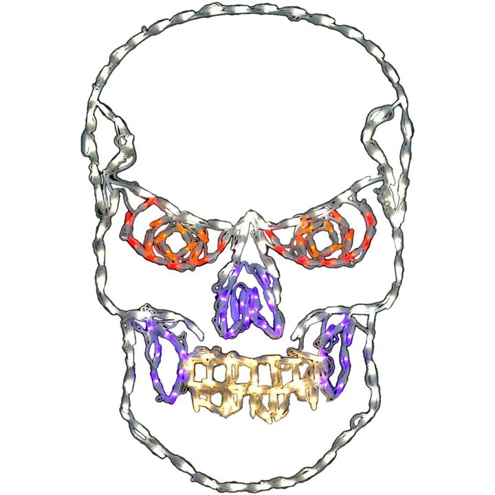 Haunted Hill Farm HHF LED Scary Skull, 24x36H