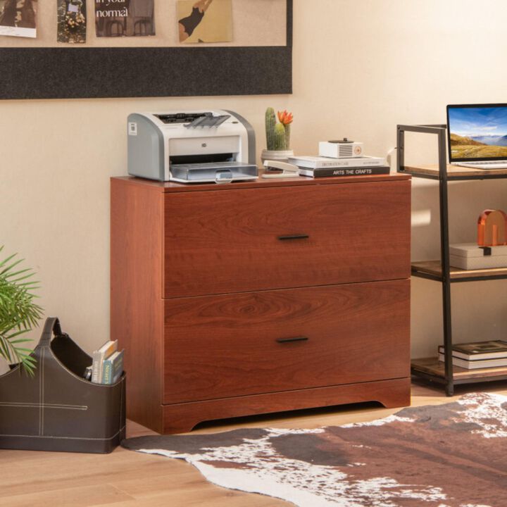 Hivvago 2-Drawer Lateral File Cabinet with Adjustable Bars for Home and Office