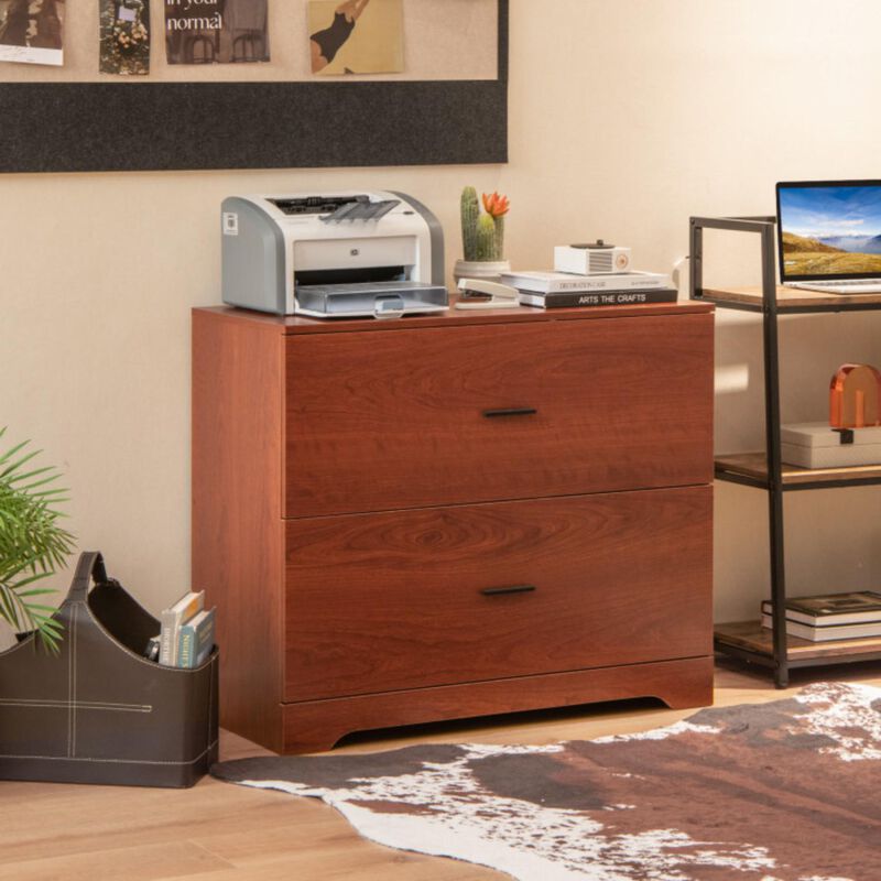 Hivvago 2-Drawer Lateral File Cabinet with Adjustable Bars for Home and Office