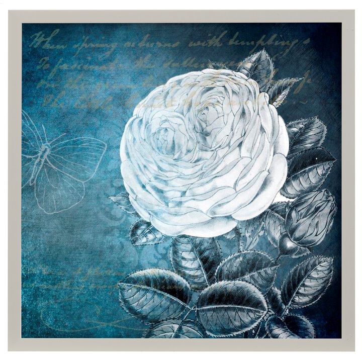 White Bloom II Framed Print