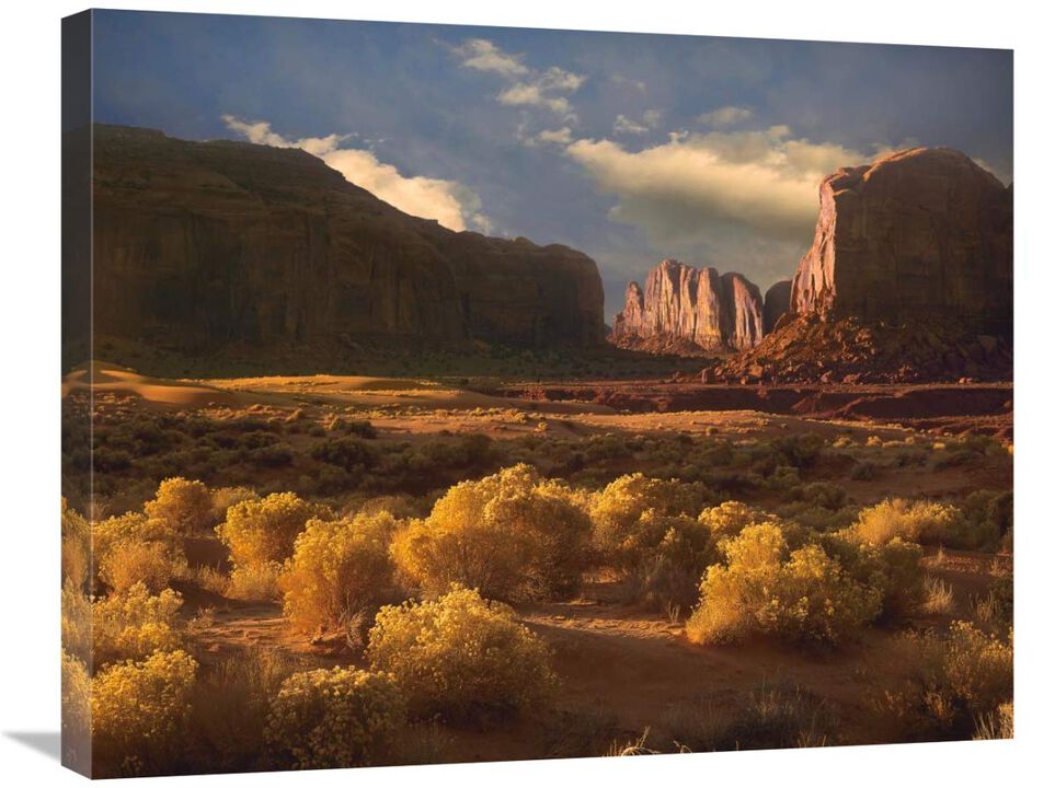 Camel Butte rising out of desert, Monument Valley, Arizona-Canvas Art-28x22