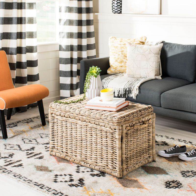 Jacob Wicker Storage Trunk