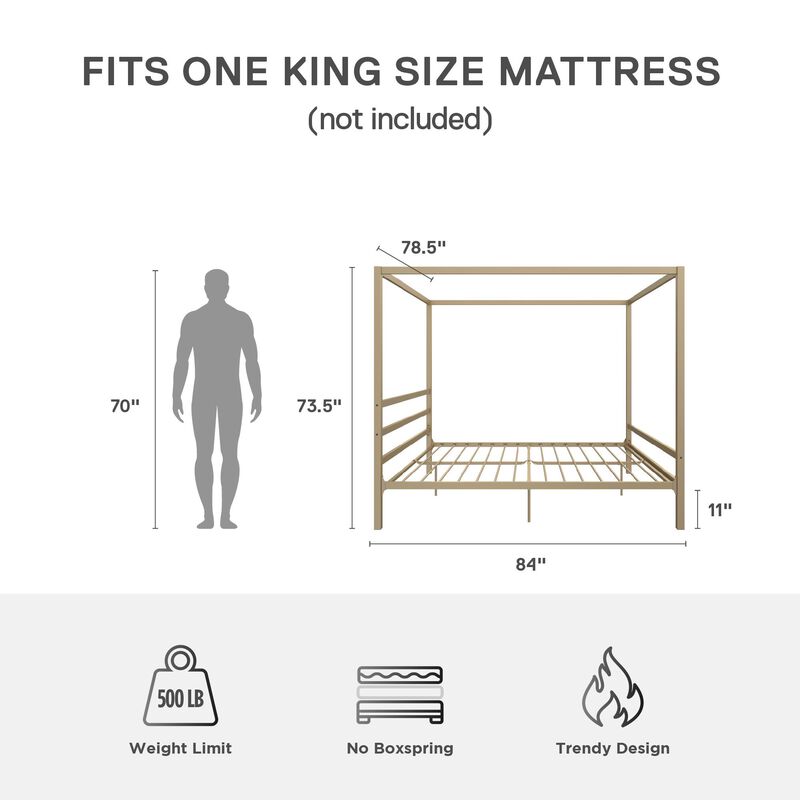 Modern Canopy Metal Bed, King, Gold