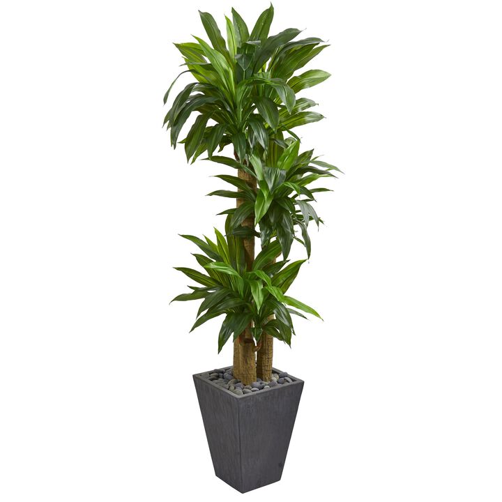 Hivvago 5.5" Cornstalk Dracaena Artificial Plant in Slate Planter (Real Touch)