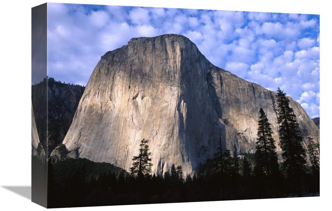 El Capitan rising over the forest, Yosemite National Park, California-Canvas Art-16x12