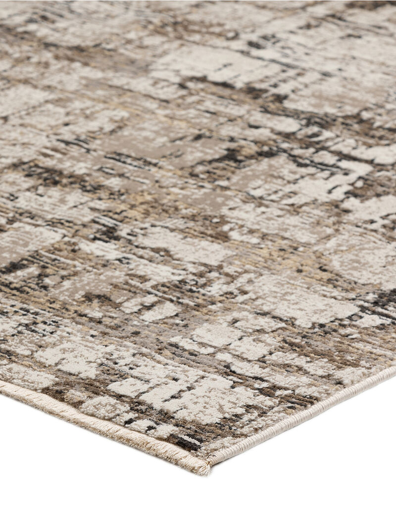 Denizi DZ3 Putty 3'3" x 5'3" Rug