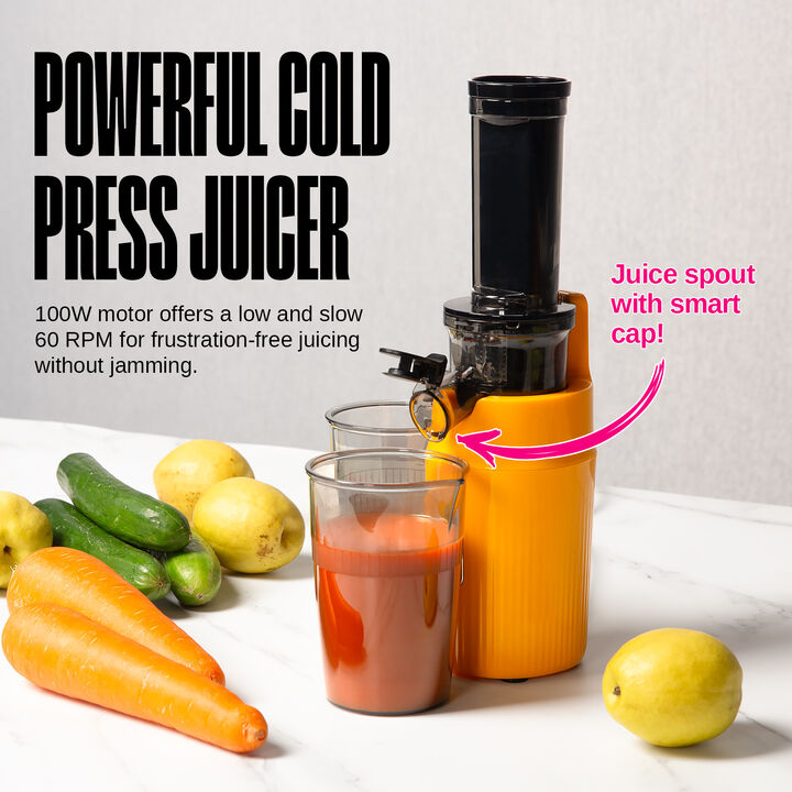 Ventray Essential Ginnie Juicer Compact Small Cold Press Masticating Slow Juicer