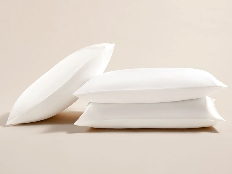 LilySilk 100% 19 Momme Pure Silk Pillowcase