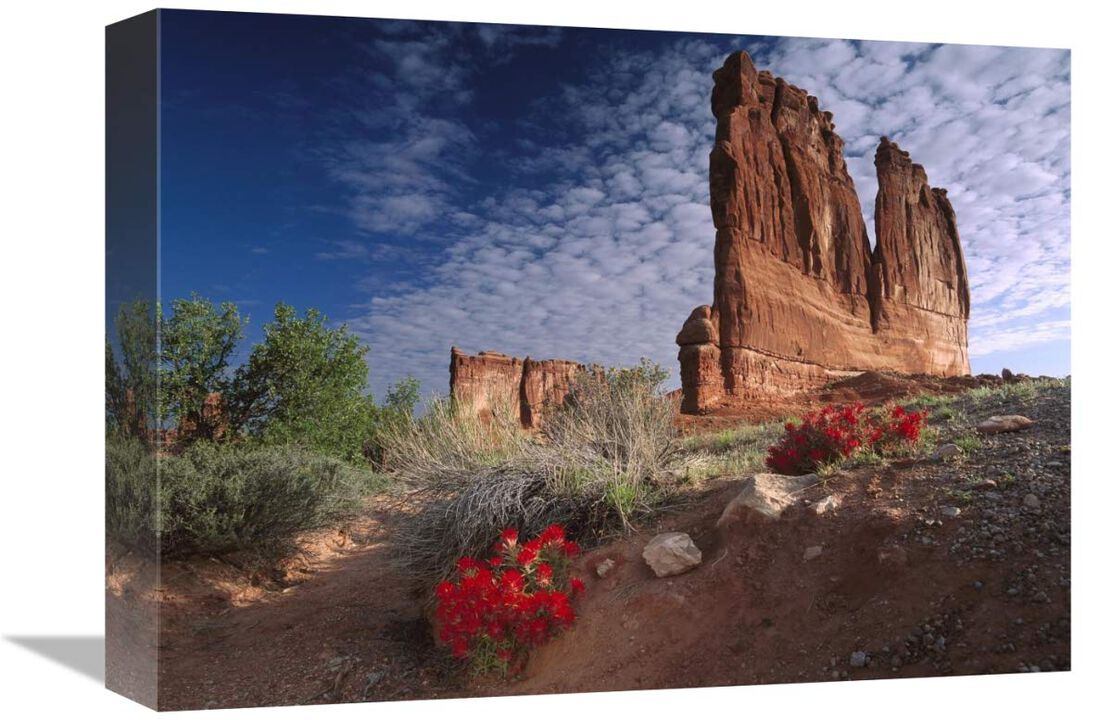 Paintbrush and the Organ Rock, Arches National Park, Utah-Canvas Art-16x12
