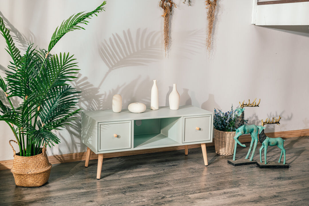 Scandinavian Solid Wood TV Stand with 2 Drawers
