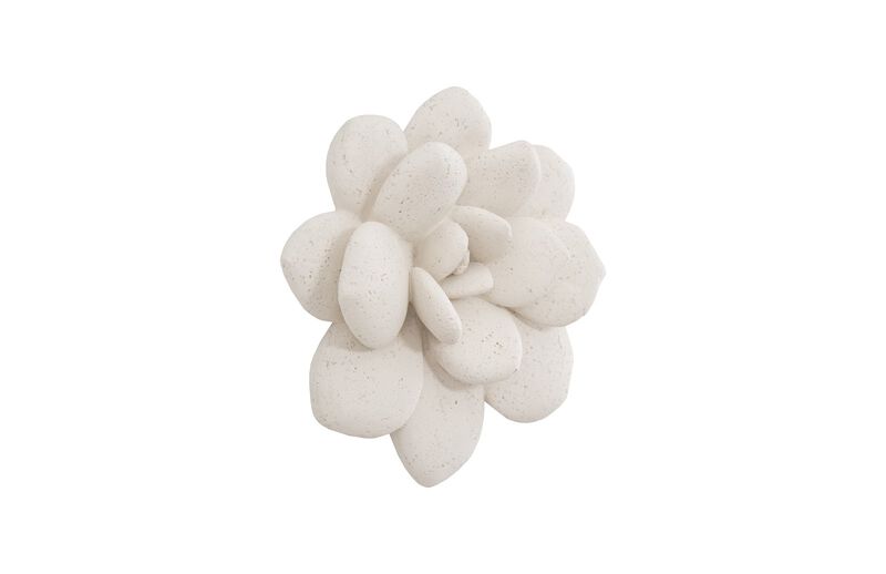 Laui Succulent Wall Art in White Stone