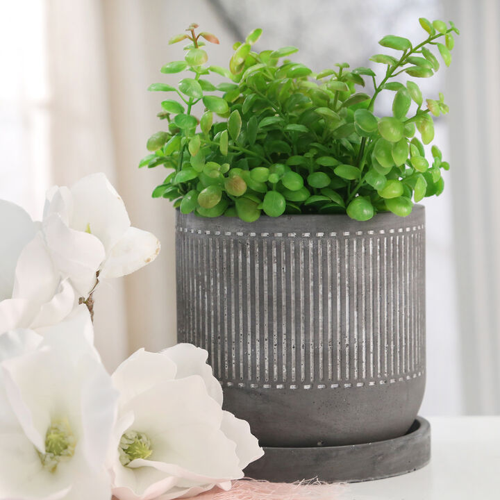 6" Line Pattern Planter with Saucer, Gray
